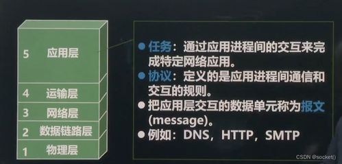 网络编程开发及实战 实战者网络的进阶之路